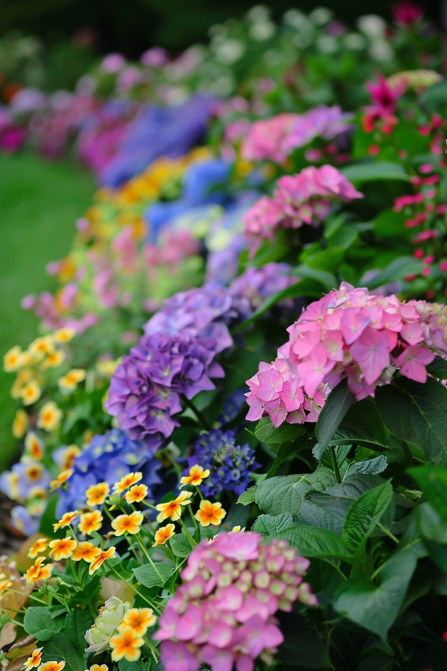 Its Easy Being Green For Flower Bed Ideas 1714017170 2