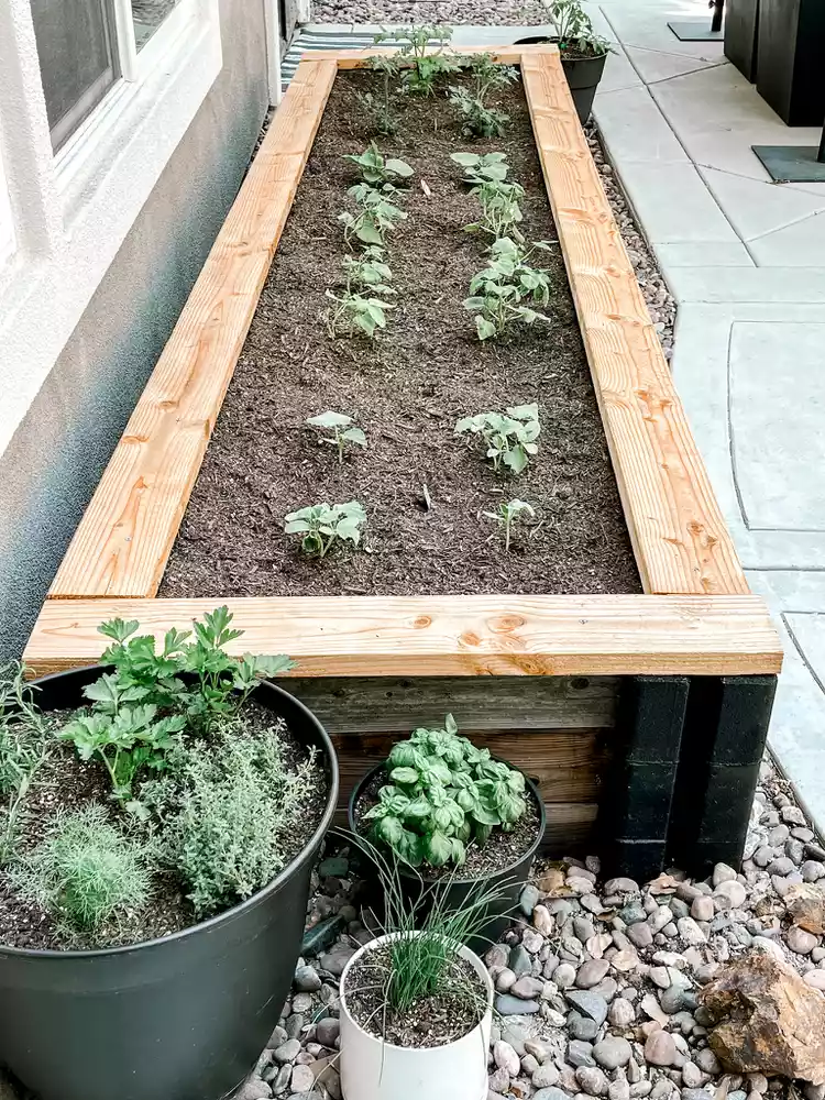 45 Wallet-Friendly DIY Backyard Ideas for a Beautiful Outdoor Oasis 45 backyard diy