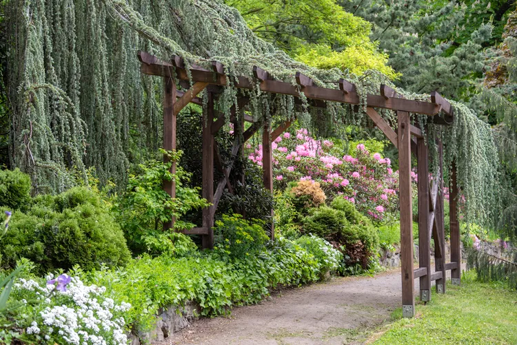 30 Garden Layout Ideas for Vegetables and More 1 garden layouts ideas