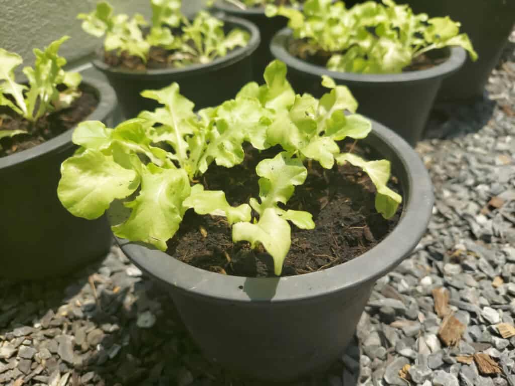 iStock 1389617508 1024x768 1