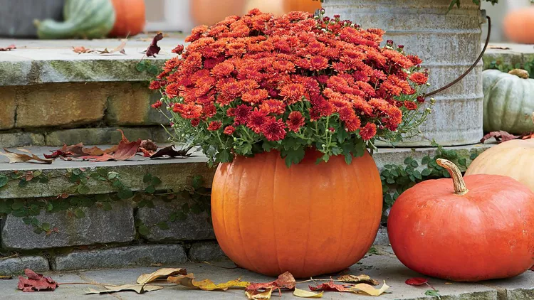 40 Outdoor Fall Decoration Ideas To Welcome Fall 46 mumkins