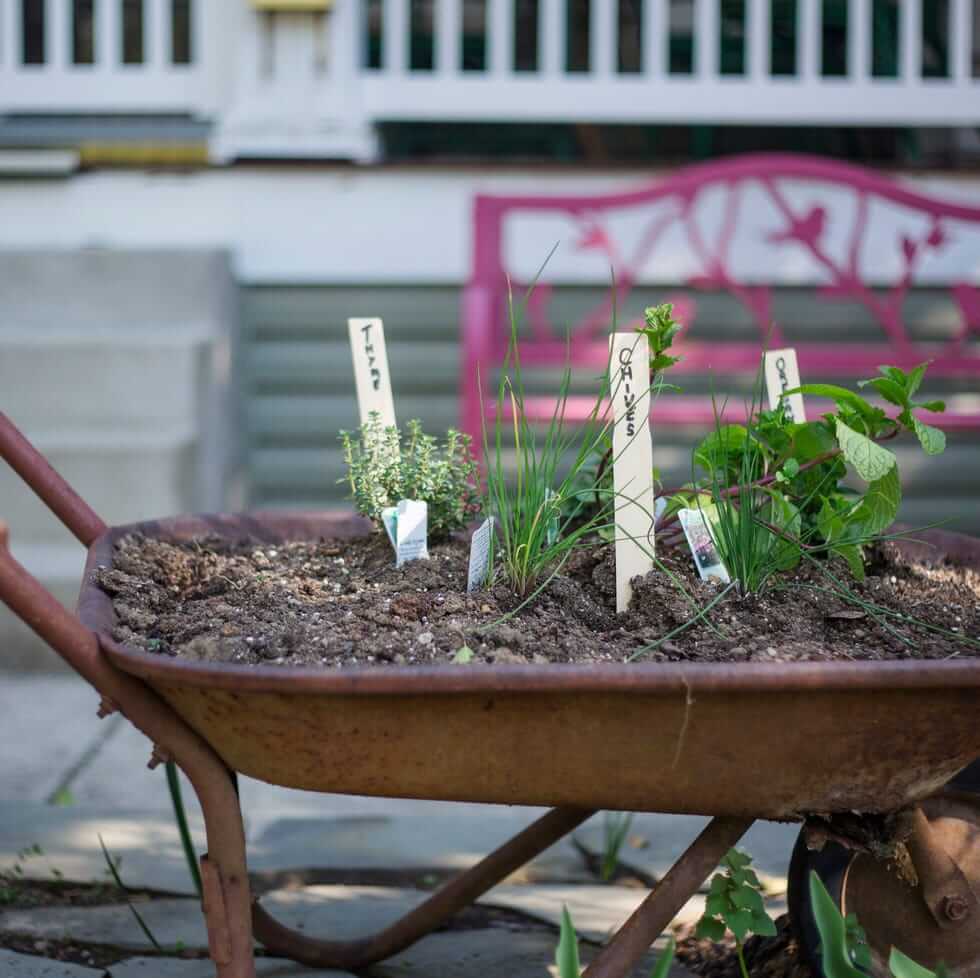 50 Clever Small Garden Ideas to Try on a Budget 101 small garden ideas 1