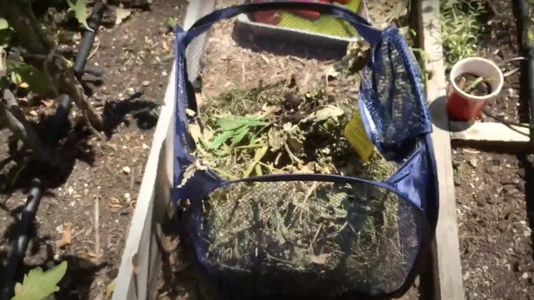 11 Creative Ways To Use A Laundry Basket Around Your Garden 5 yard waste collector 1716295947