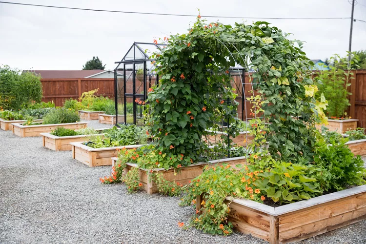 35 Unique Garden Trellis Ideas for a Stunning Outdoor Space 1 Trellis Ideas