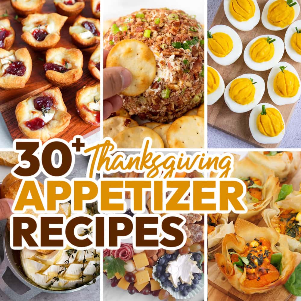 30+ Seasonal Thanksgiving Appetizer Recipes