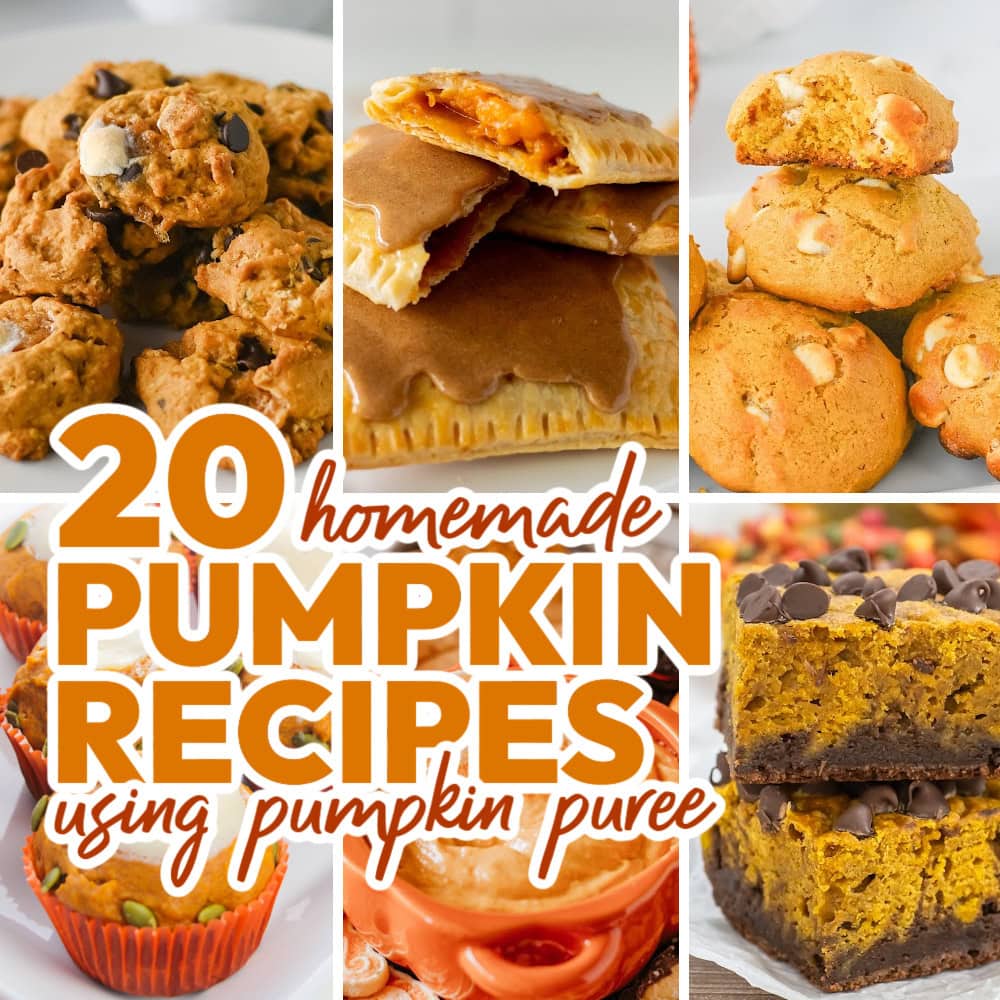 pumpkin recipes using pumpkin puree
