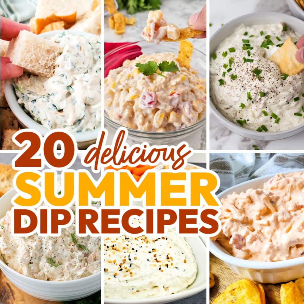 20 Summer Dip Recipes for Easy Appetizers and Snacks to Serve!