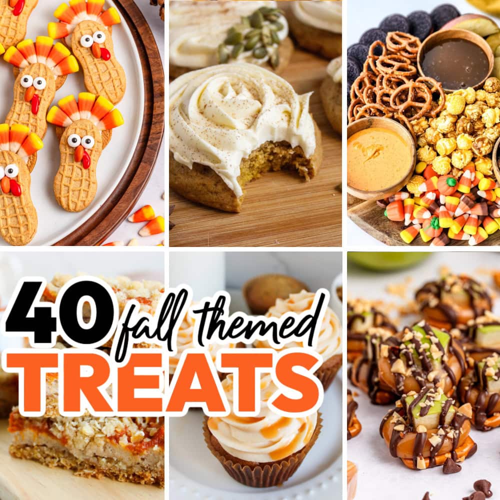 40+ Fantastic Fall Treats and Desserts 1 40+ Fantastic Fall Treats and Desserts