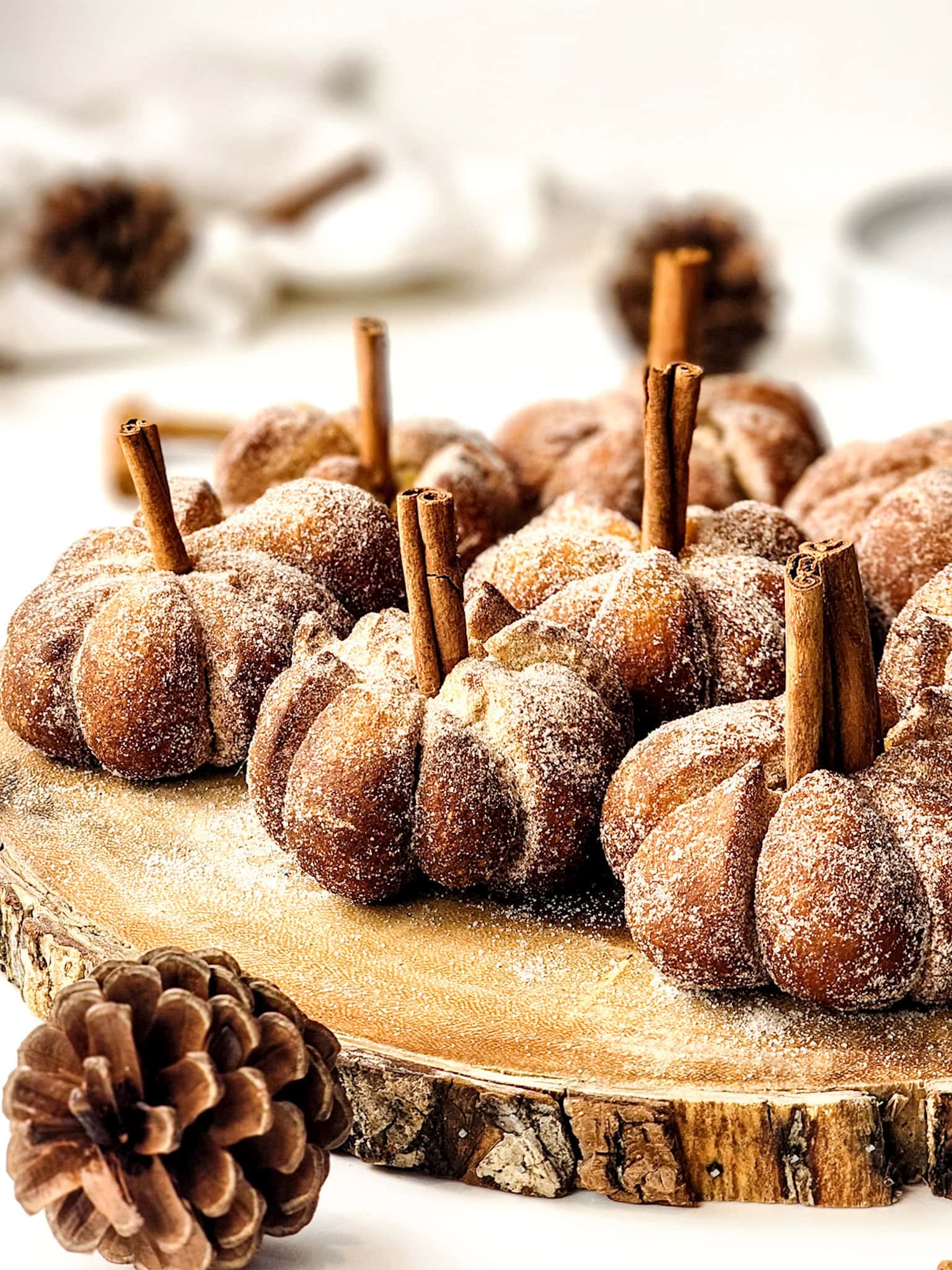 Autumn’s Best Pumpkin Donuts 1 Autumn’s Best Pumpkin Donuts