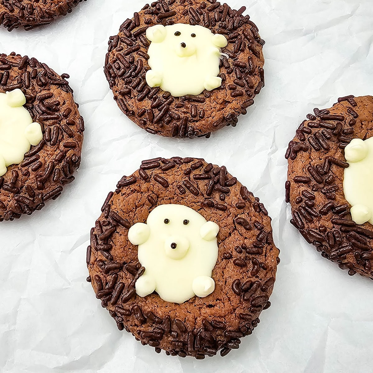 Chocolate Cake Mix Hedgehog Cookies