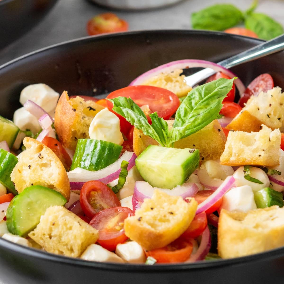 Classic Panzanella with Mozzarella 1 panzanella with mozarella featured image