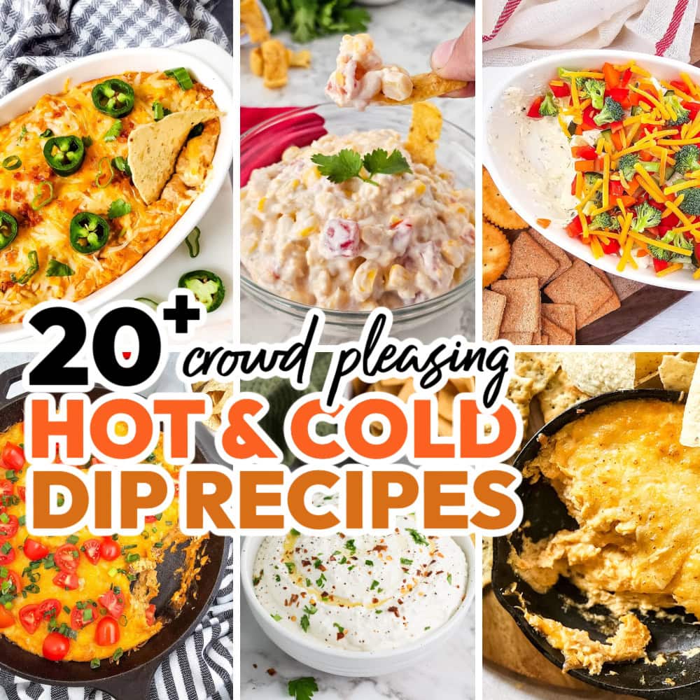 20+ Crowd-Pleasing Hot and Cold Dip Recipes for Parties and Gatherings