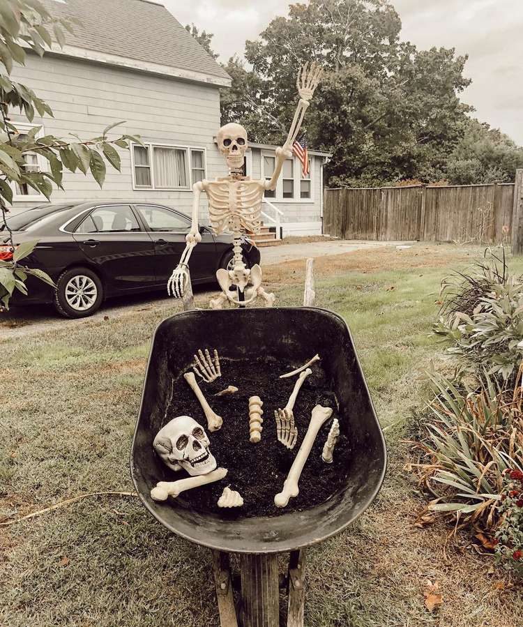 Skeleton bones in a wheelbarrow
