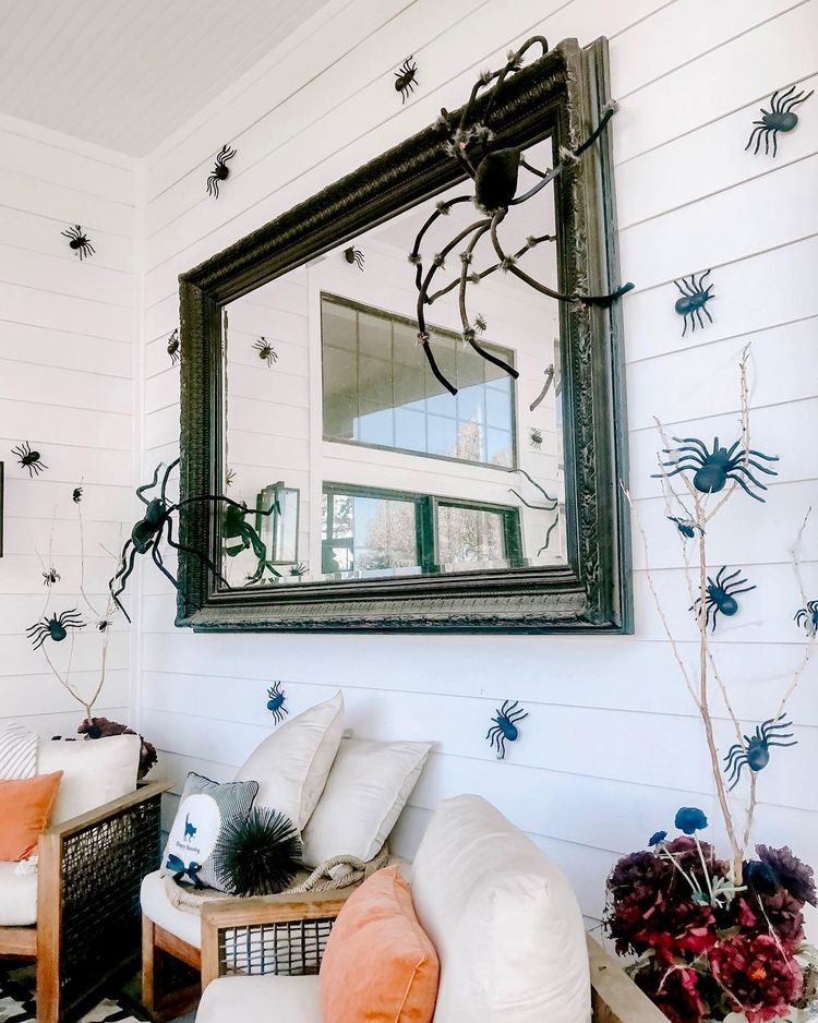 Spiders all over wall and outdoor mirror