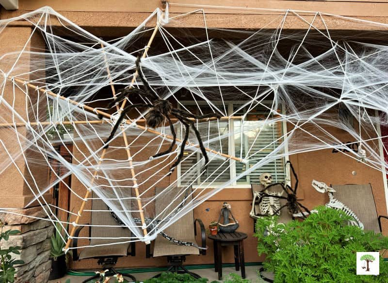 Bush covered with spider web decor