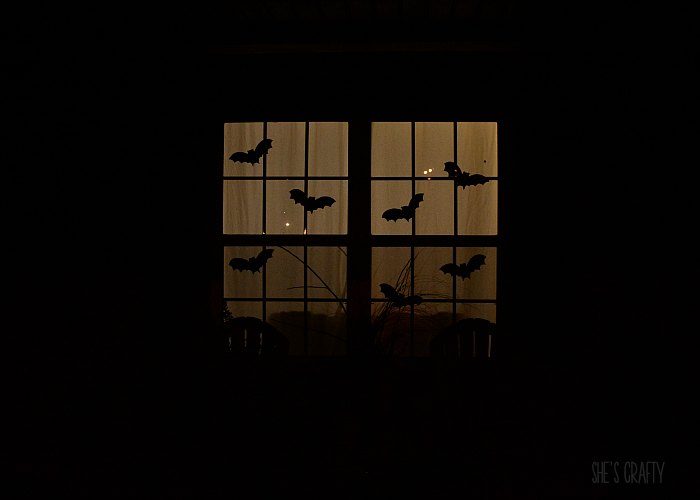Black bats stuck on a window