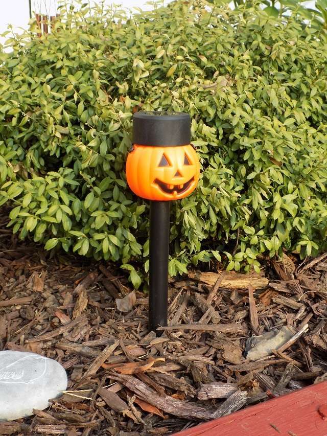 pumpkin solar lights