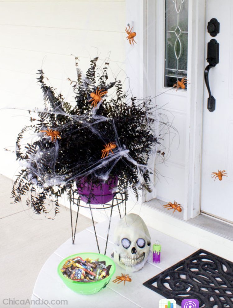 spray painted houseplants