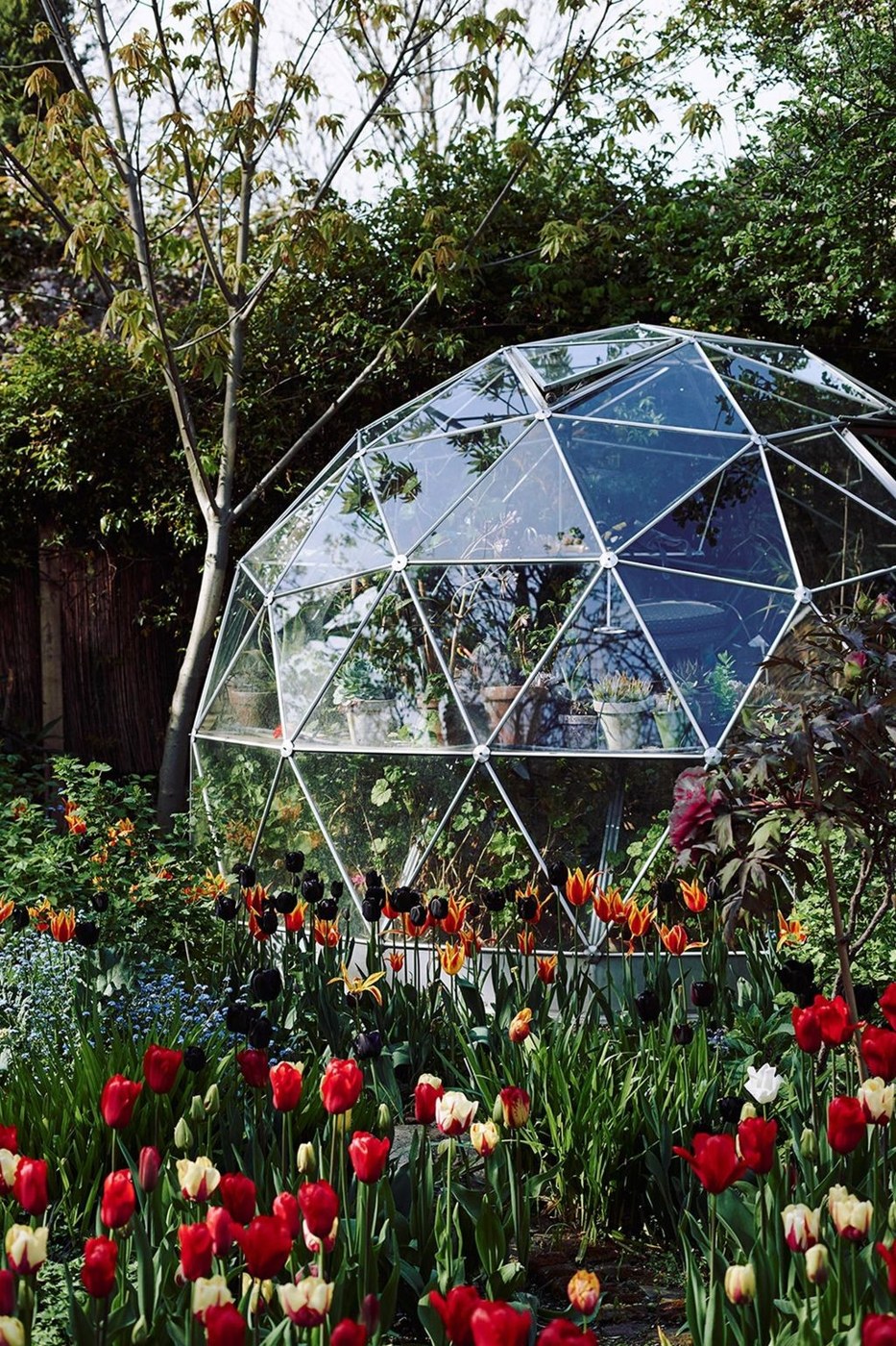 Modern glass dome greenhouse surrounded by planting