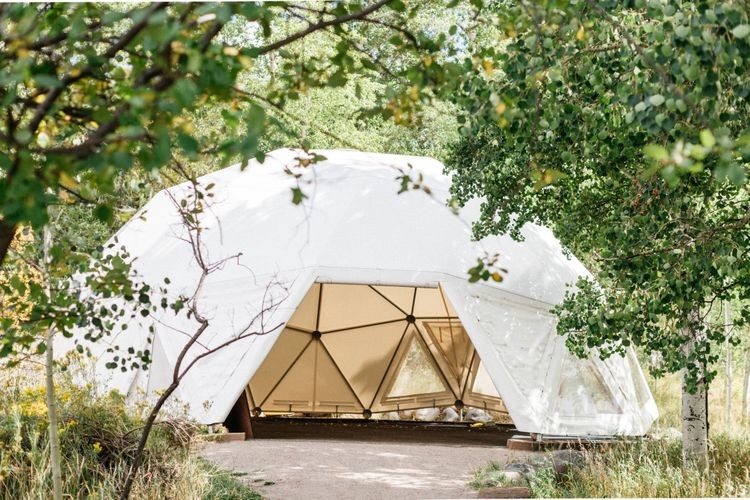 Small dome greenhouse in a backyard