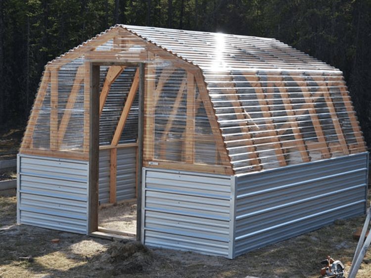 Barn-style DIY greenhouse with a clear roof
