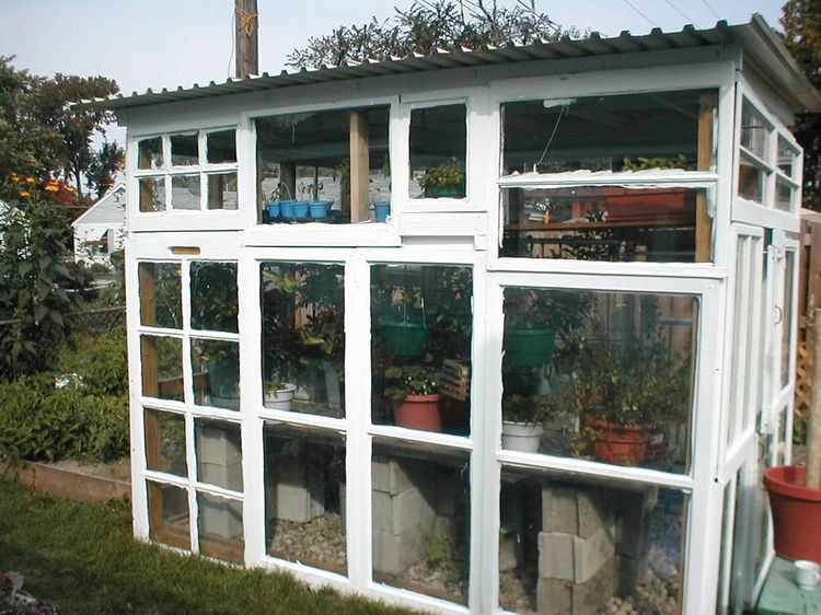Small greenhouse built from recycled windows
