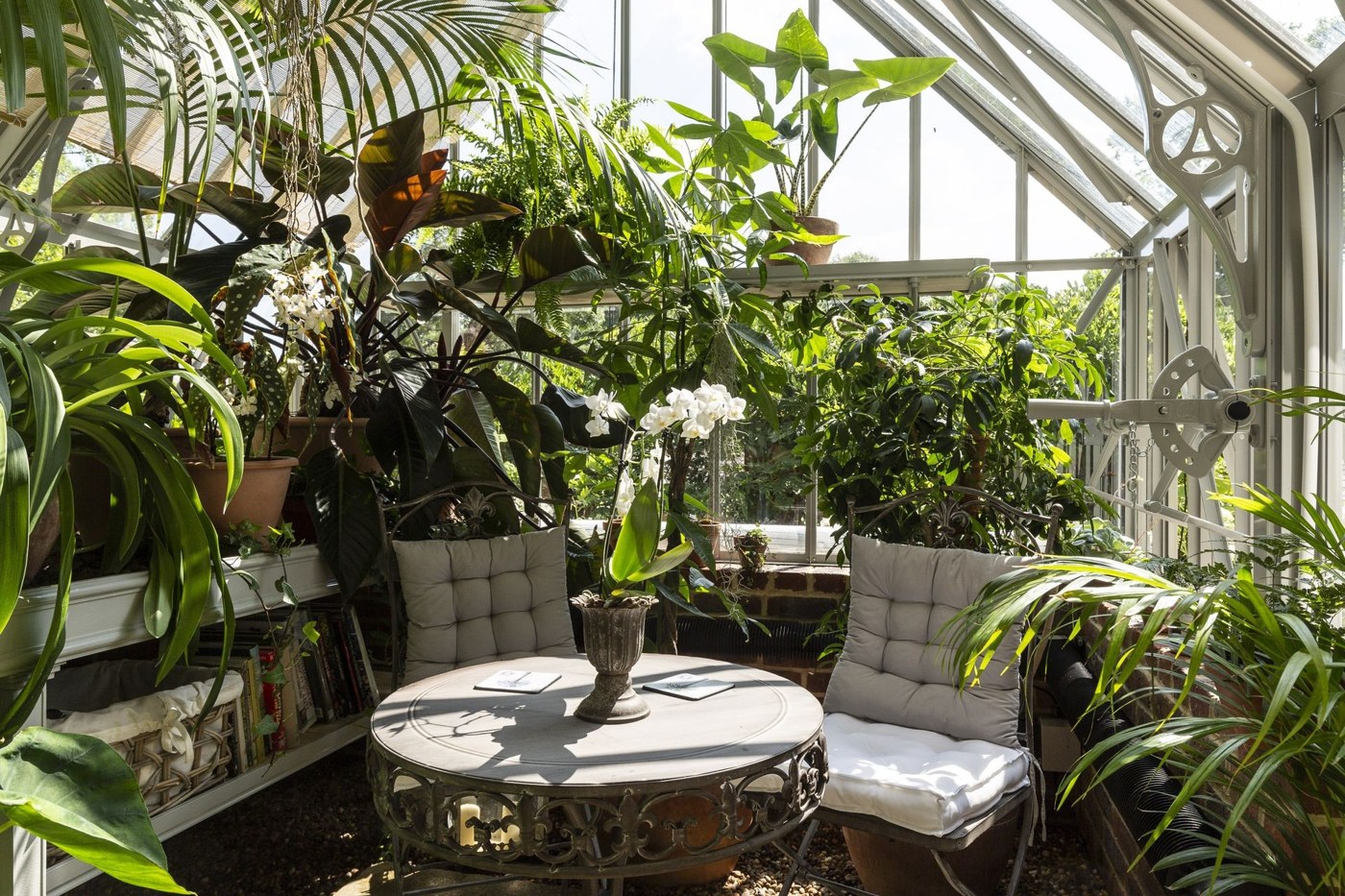Greenhouse garden room with lush tropical-style foliage and seating