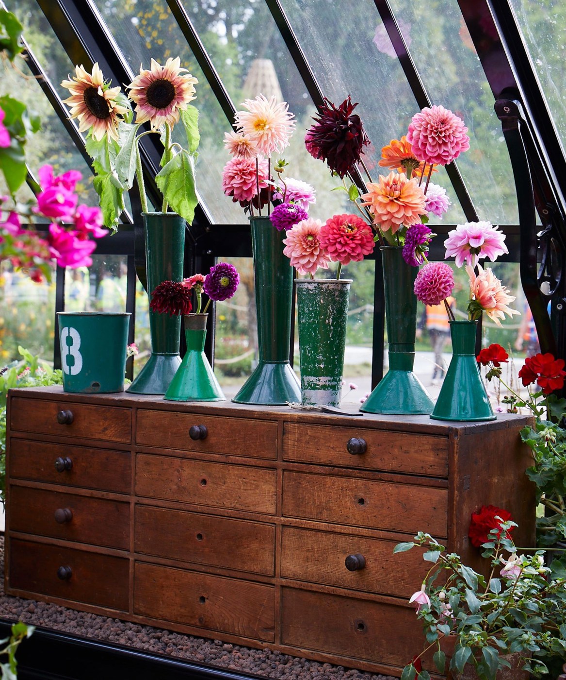Cut flowers on display inside a greenhouse