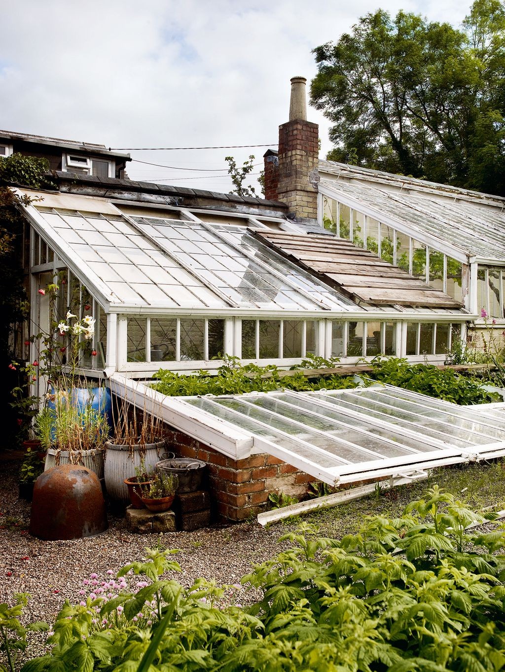 Greenhouse in a designer's garden