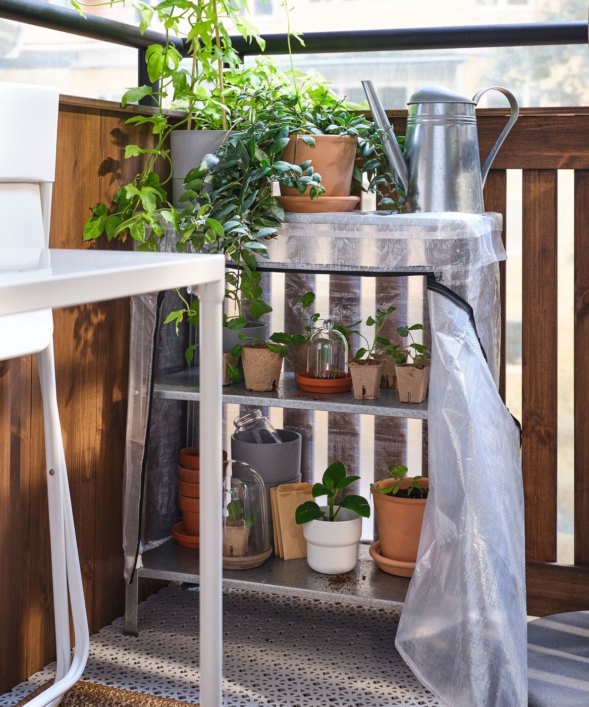 Greenhouse mini shelves holding potted plants