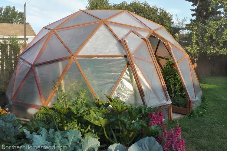 Geodome greenhouse with plants inside