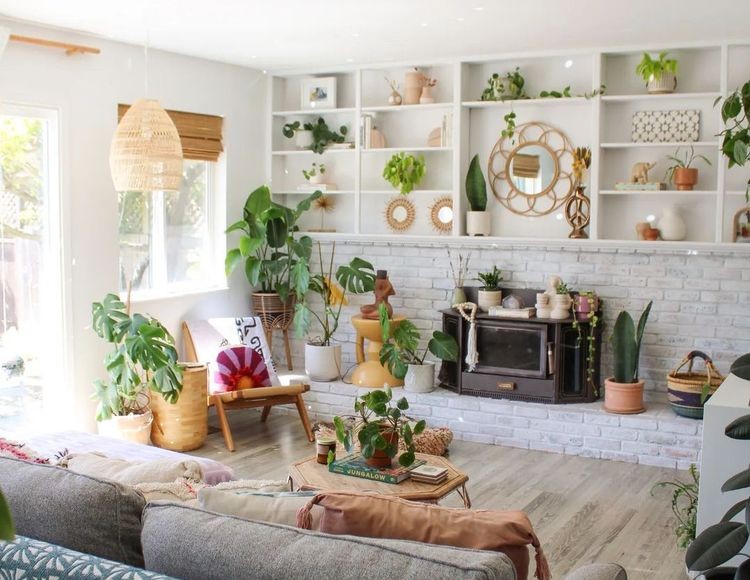 Bright living room filled with houseplants