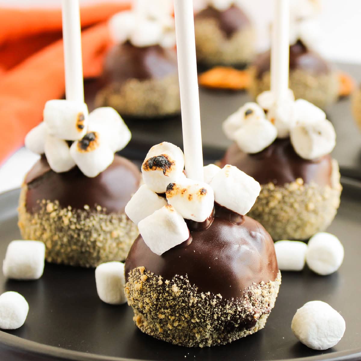 Bite-Sized S’mores Cake Pops