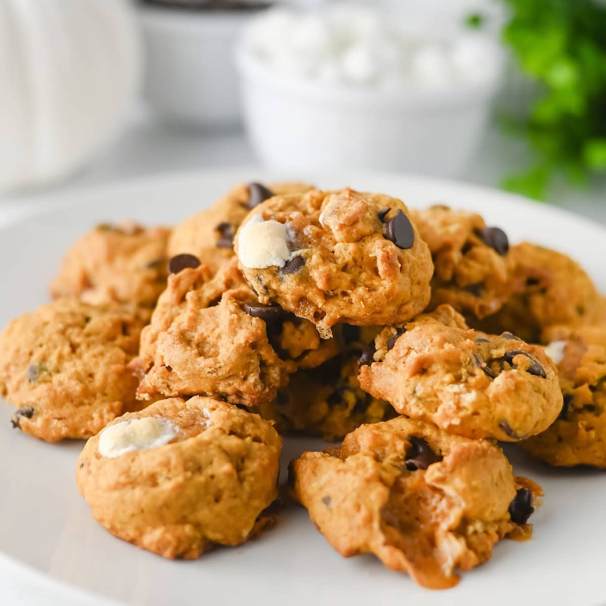 Soft Pumpkin S’mores Cookies 1 Pumpkin S'mores Cookies Featured Image
